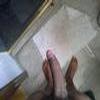 foto do perfil comedorsg